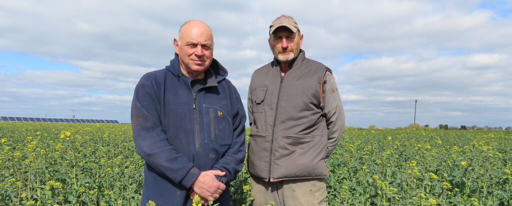 Establishment scheme tips the scales as OSR hangs in the balance 1 Establishment scheme tips the scales as OSR hangs in the balance
