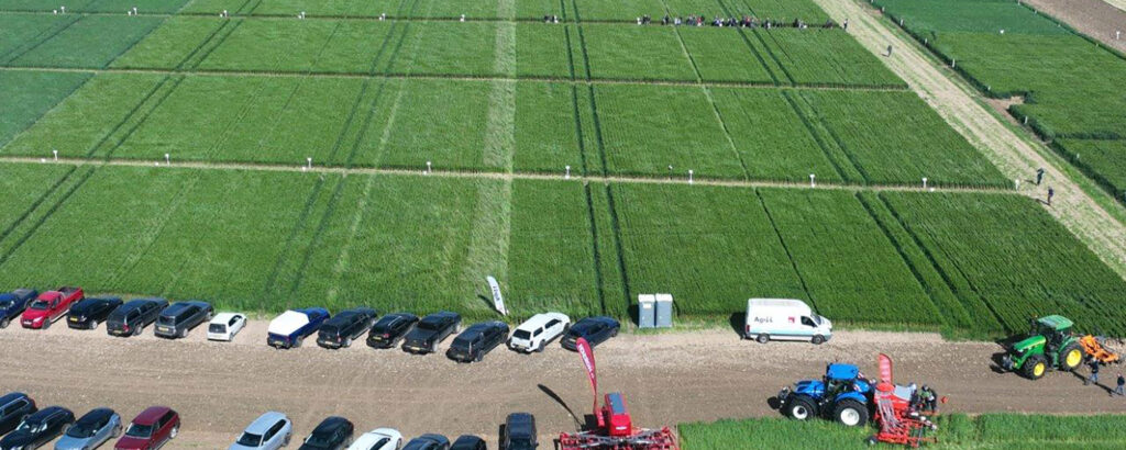 New Agrii trials put the focus on drilling and cultivation choices to manage blackgrass efficiently 1 New Agrii trials put the focus on drilling and cultivation choices to manage blackgrass efficiently 1