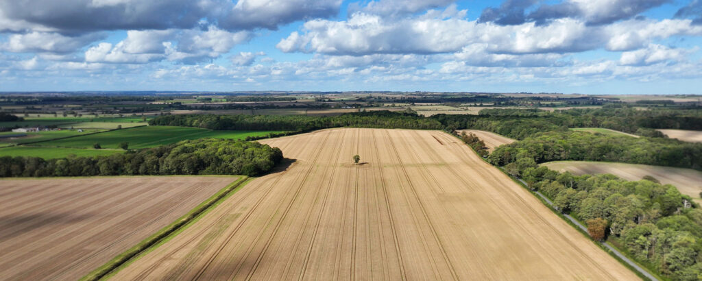 First year of Agrii Digital Technology Farms (DTF) initiative signposting way to significant cost efficiency improvements 1 Revesby Estate DTF Field