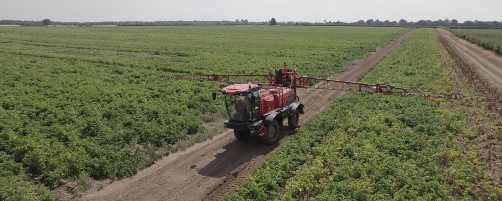 Plant health and virus trials yield positive learnings 1 TPP header image