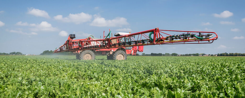 Boosting beet performance: fungicide + biostimulant combination shows promise in trials 1 beet